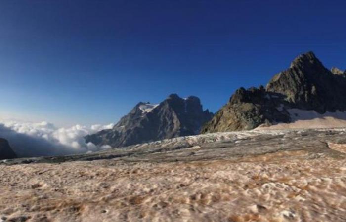 Despite exceptional snowfall, the White Glacier is melting