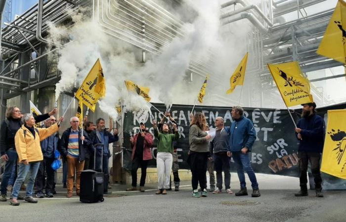 punch action by farmers at a Lactalis site