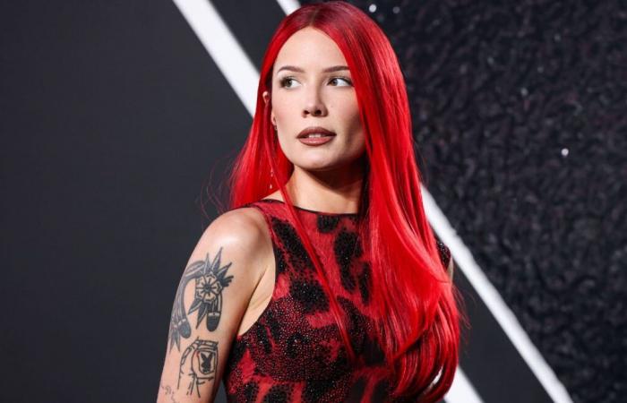 By becoming a meme on the networks, the singer Halsey lets her fans promote her