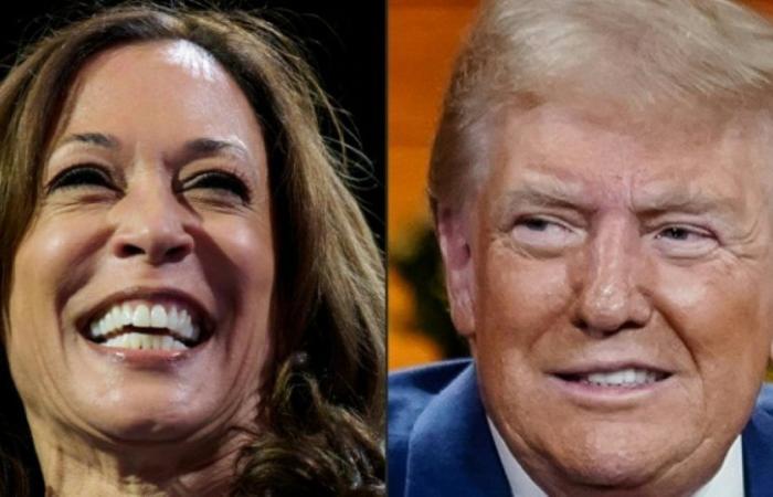 Trump and Harris stop in the same key state, Michigan: News