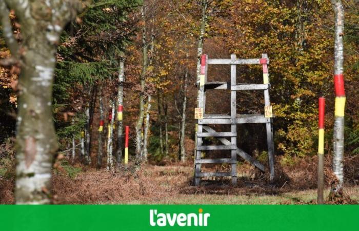 Dozens of forests prohibited in Wallonia during this first weekend of the All Saints’ Day holidays for walks, cycling and picking (map)