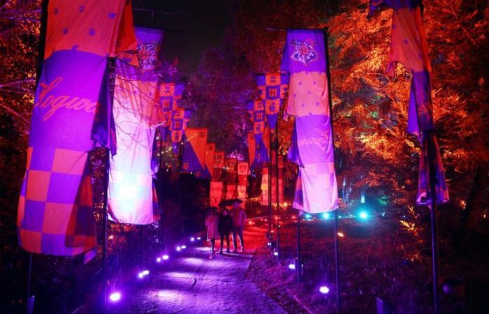 VIDEO. Harry Potter event in Montauban: we tested the forbidden forest for you