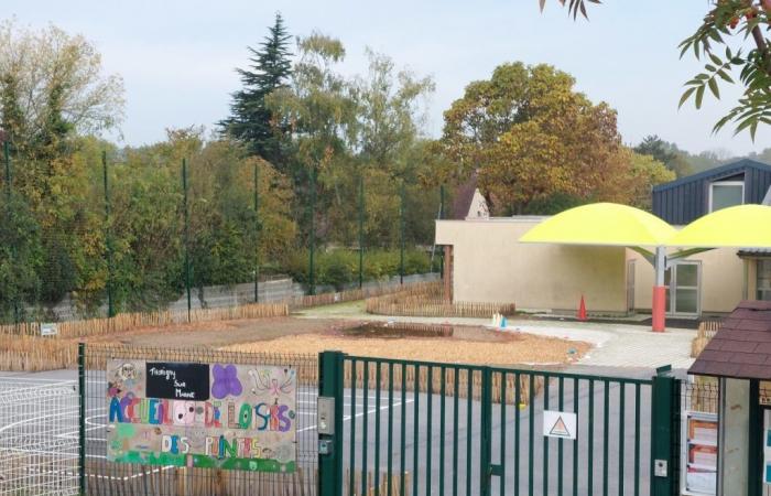 in this town of Seine-et-Marne, the new oasis courtyard worries parents