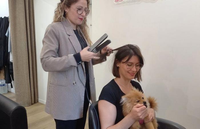 Dangerous Brazilian straightening: how Cahors hairdressers are adapting