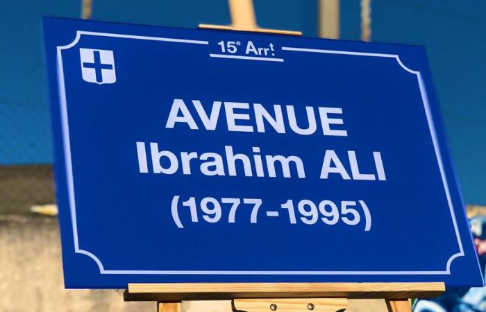 Municipal council. The city of Marseille votes to create the Ibrahim Ali Prize