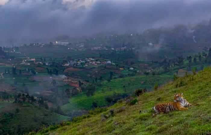 the most beautiful award-winning nature photos