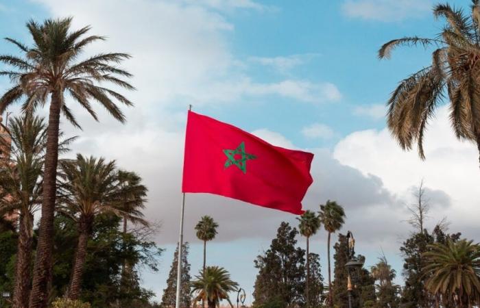 the horizon darkens for Moroccan orange