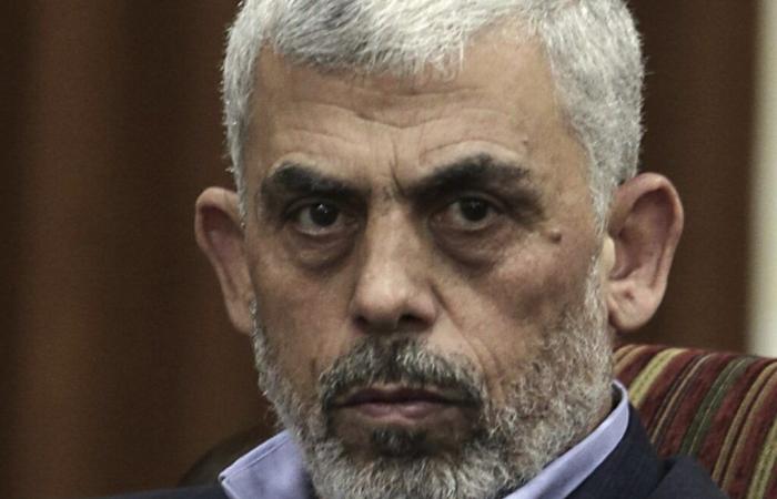 Hamas leader shot in the head (New York Times)