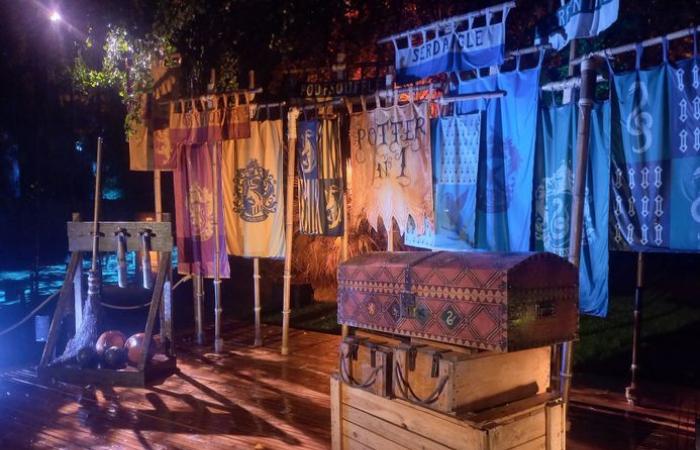 VIDEO. Harry Potter event in Montauban: we tested the forbidden forest for you