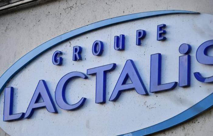 Lactalis: a dairy in Loire-Atlantique offers to recover the milk produced by breeders