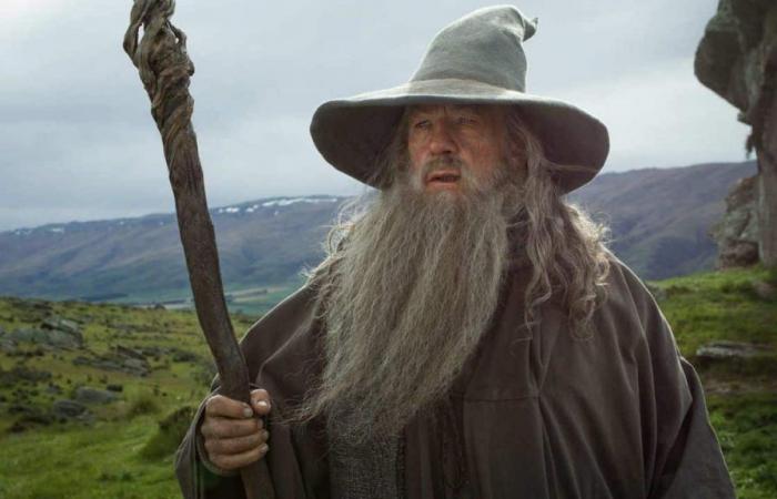 After The Hunt for Gollum, another Lord of the Rings film with Gandalf is planned