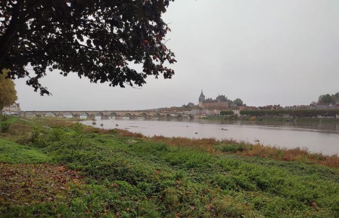 Will the Loire overflow in the coming days in the Center-Val de Loire?