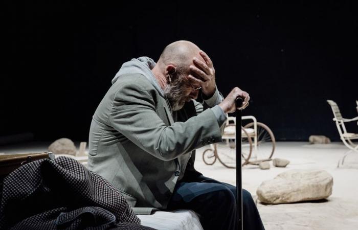 The Seagull at the Odéon, Théâtre de l’Europe, from November 7 to December 22, 2024