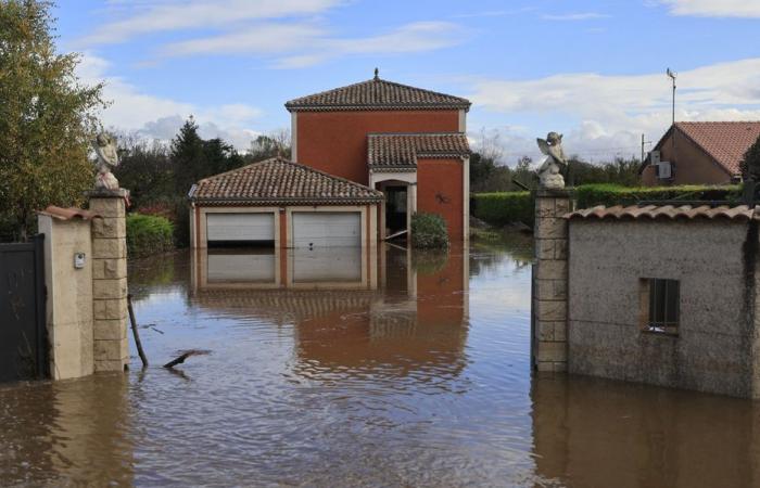 “we no longer even had our feet”, the village of Limony engulfed by water