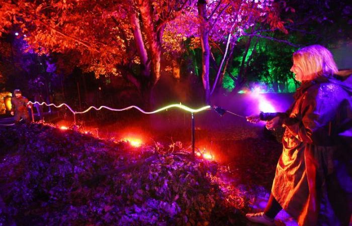 VIDEO. Harry Potter event in Montauban: we tested the forbidden forest for you