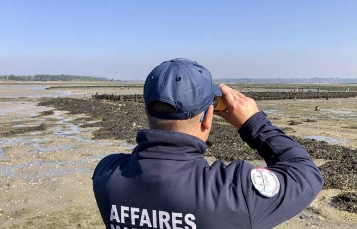 Overcrowding threatens this “exceptional” site in Loire-Atlantique: an order finally signed