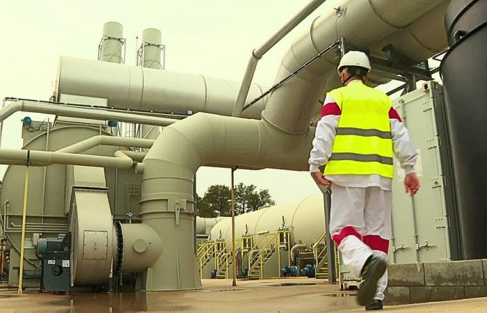 the chicken waste recycling plant does not smell of sanctity