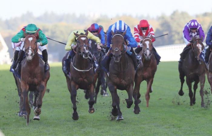 Calandagan, 2nd, and Irésine, 4th, at Ascot (GB)