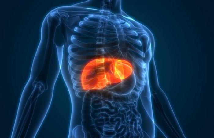 Promising new avenue against the severe form of the so-called “fatty liver” disease – rts.ch