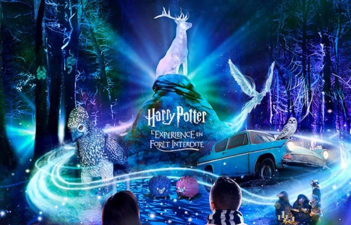 Marvel and experience the magic of Harry Potter’s Forbidden Forest, a first in France