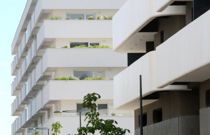 New and old housing: the fall in prices is “almost generalized” in Languedoc-Roussillon