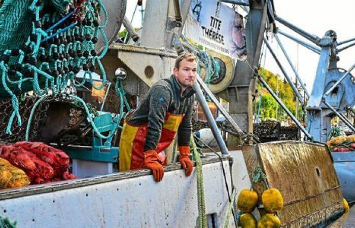 “It’s not every day!” »: in Saint-Brieuc with the first gourmands of the Scallop Festival