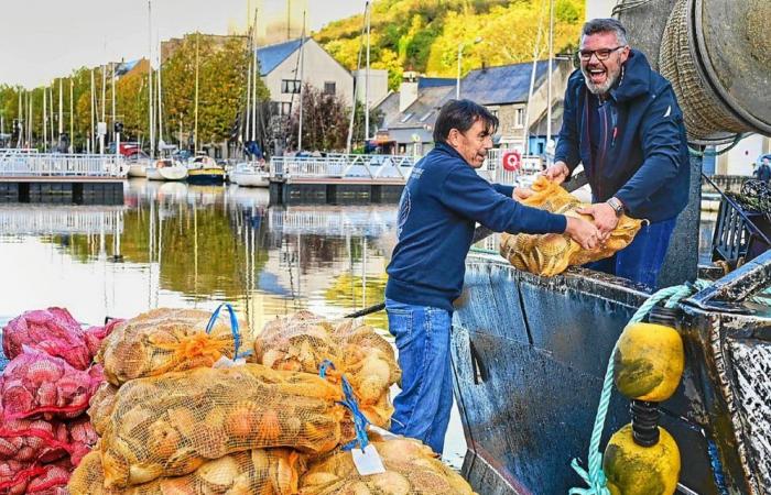 “It’s not every day!” »: in Saint-Brieuc with the first gourmands of the Scallop Festival