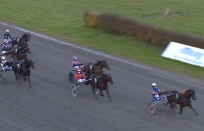 Svampen Örebro (Gr. II – Sweden): Sassy But Classy crowned