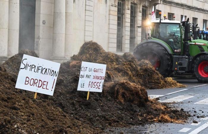 “The pressure on farms is immense” warns the president of the Young Farmers of Côte-d’Or