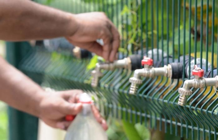 Mayotte, when the water produced is no longer enough to respect the schedule of weekly cuts