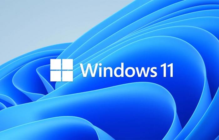 This lite version of Windows 11 reduces the 24H2 update from 30 to 4 GB, perfect for old PCs