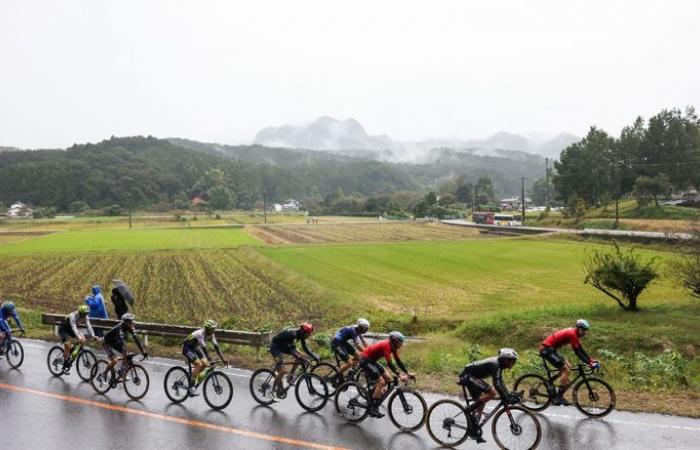 Cycling. Japan Cup – The 31st edition of the Japan Cup… Course, profile and favorites