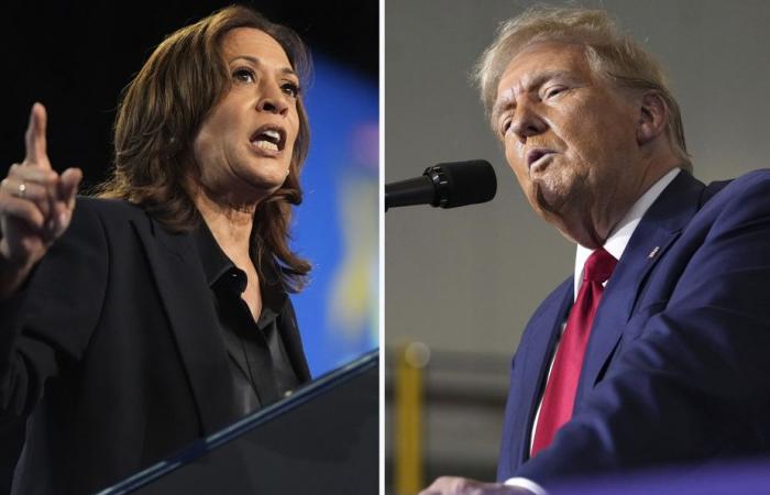 Celebrities campaign for Harris and Trump