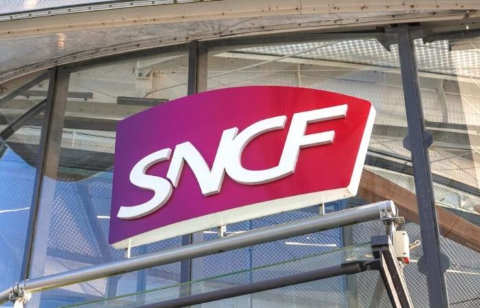 “I am an operational manager at SNCF, here is how much I earn per month”