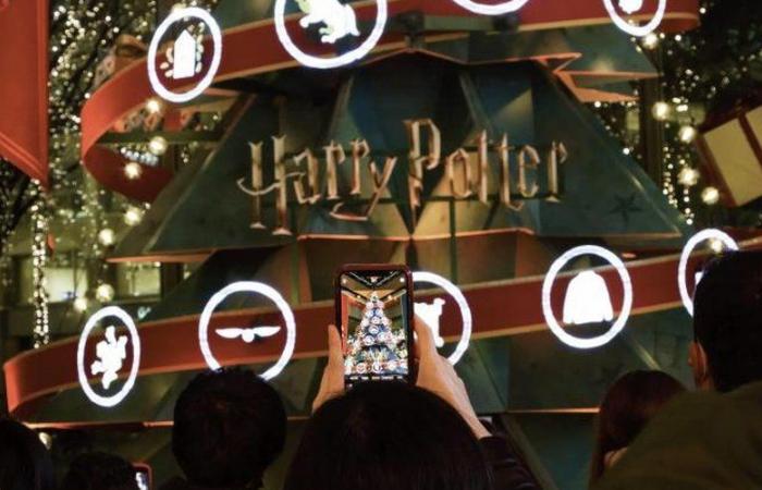 Montauban. The toy museum rides the Harry Potter wave