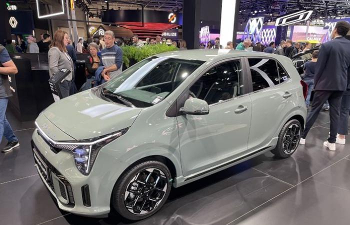 Which city cars to see at the 2024 Paris Motor Show