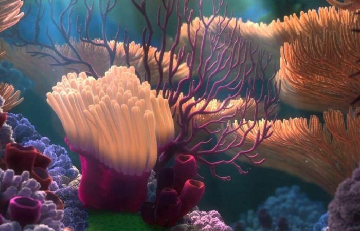 Usbek & Rica – Scientists breed heat-resistant corals to protect reefs from global warming