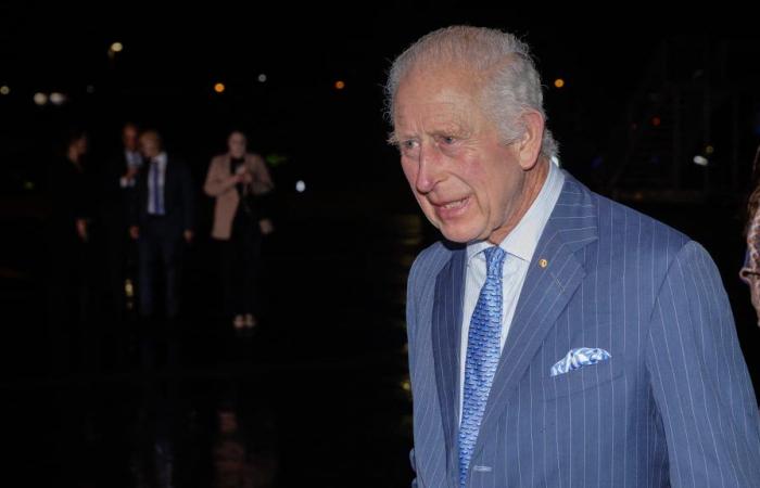 Charles III back in business, eight months after announcing his cancer