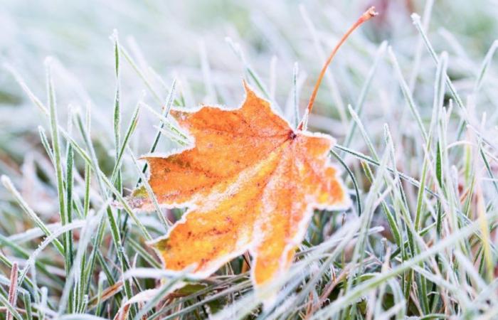 First frost and first freeze date across southeastern Virginia