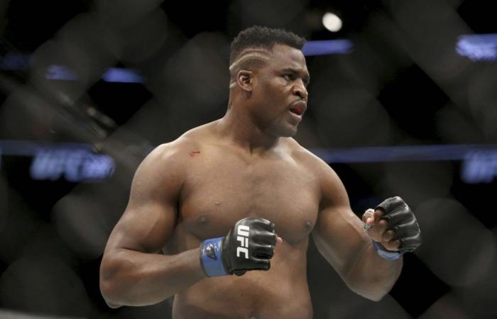 For his return, the “Predator” Ngannou knocks out. Ferreira in less than four minutes