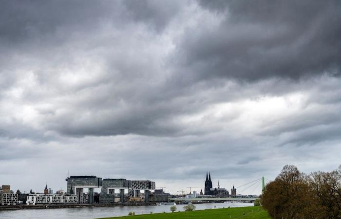 Weather Cologne and region: Clouds and isolated showers on Friday