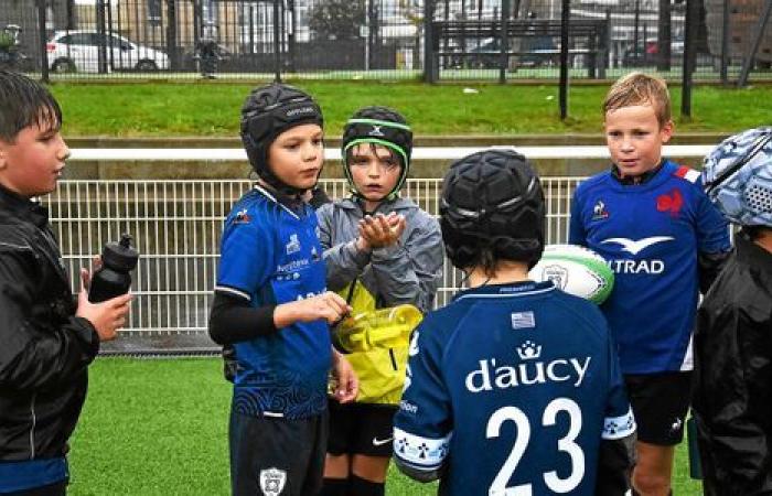 In Vannes, pros who have gone through the RC Vannes rugby school