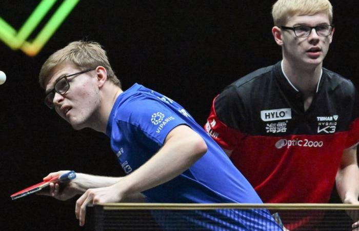 Table tennis. The Lebrun brothers in the doubles final of the European Championships without trembling