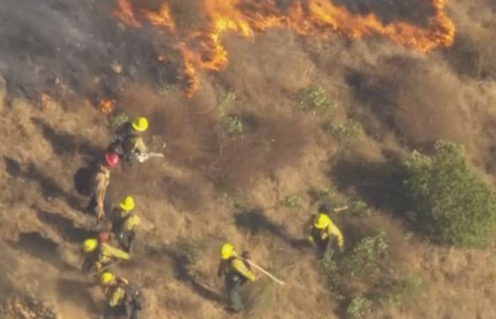 Firefighters battling Agoura Hills brush fire amid red flag warning