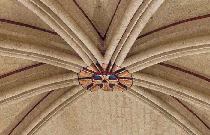 Notre-Dame de Paris will soon reveal a light that no one has seen for centuries