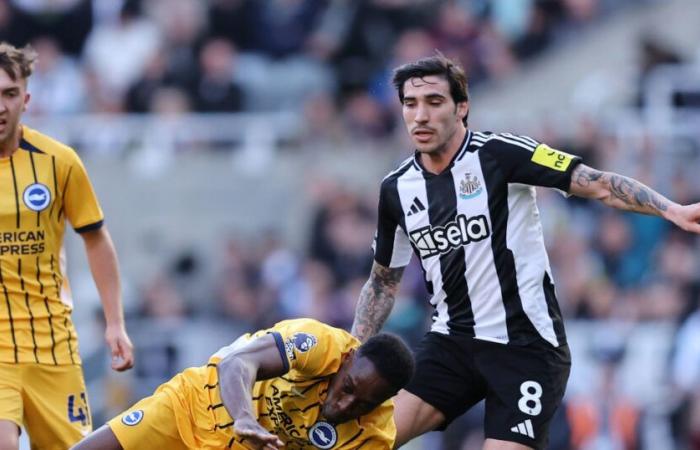 Newcastle United 0 Brighton & Hove Albion 1