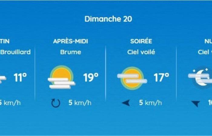 Weather report. What will the weather be like this weekend in Toulouse and Occitanie?