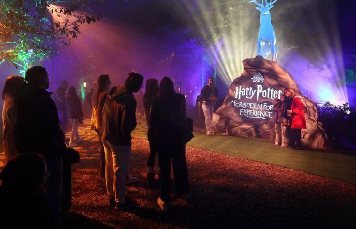 The magic of Harry Potter captivates the first visitors