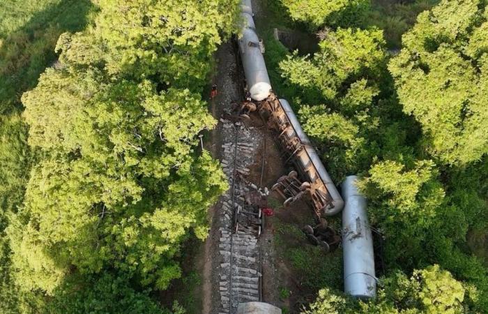 Train hits and kills 2 wild elephants in Sri Lanka