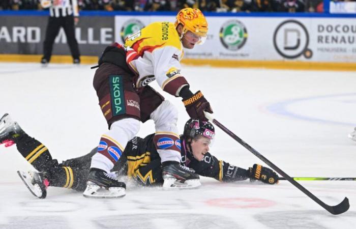 Ice hockey: Ajoie beaten by Genève-Servette, his coach is in danger